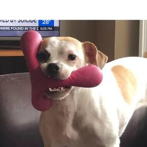 Meet your Posher, Clare